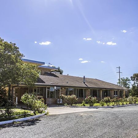 Allonville Gardens Motel Wagga Wagga Exterior photo