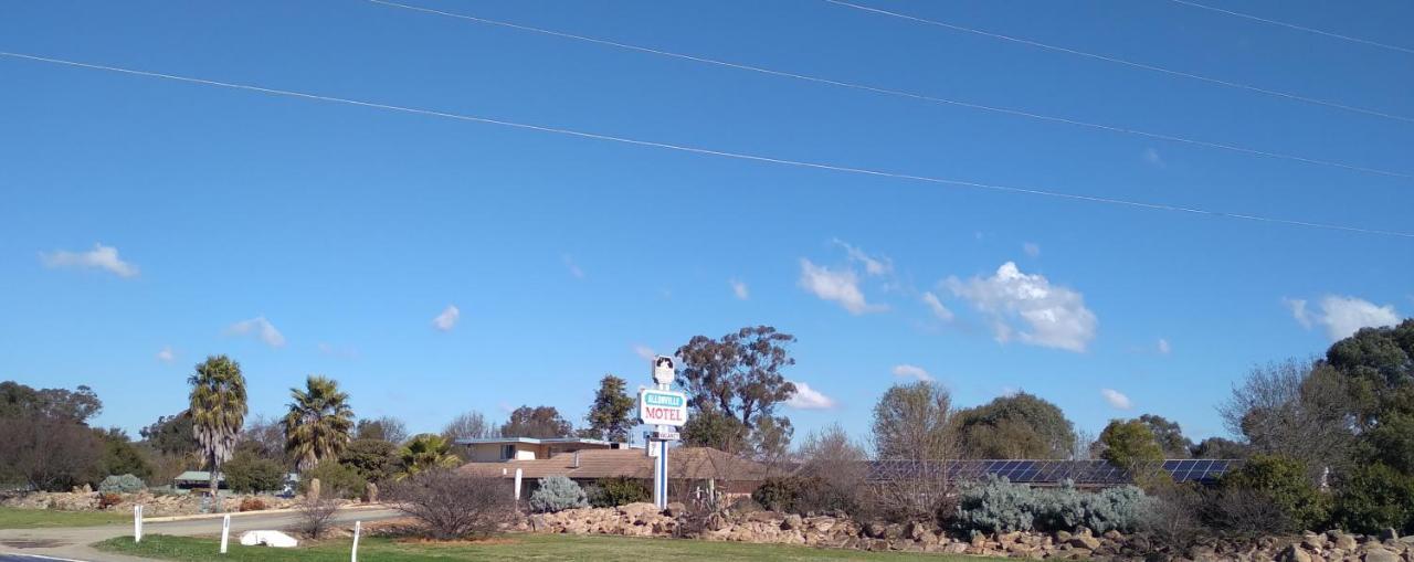 Allonville Gardens Motel Wagga Wagga Exterior photo