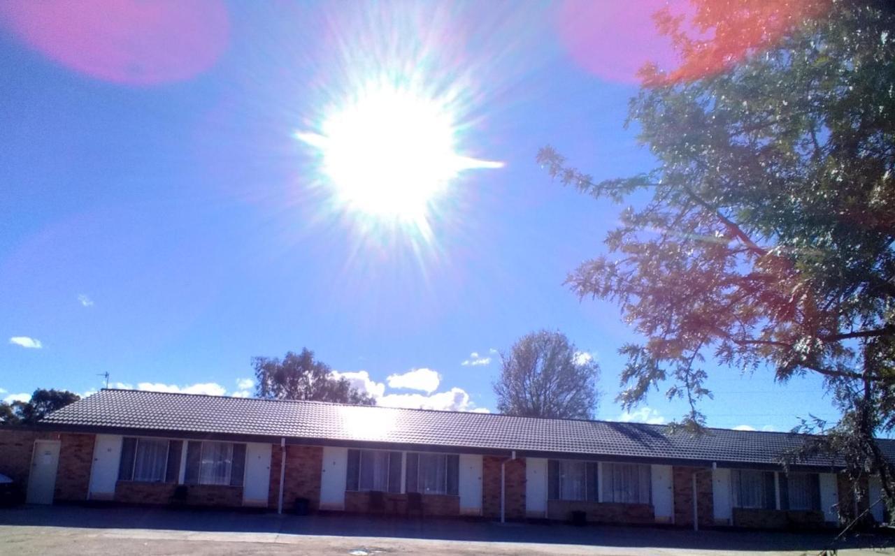Allonville Gardens Motel Wagga Wagga Exterior photo