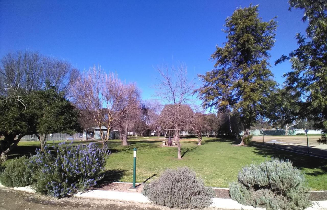 Allonville Gardens Motel Wagga Wagga Exterior photo