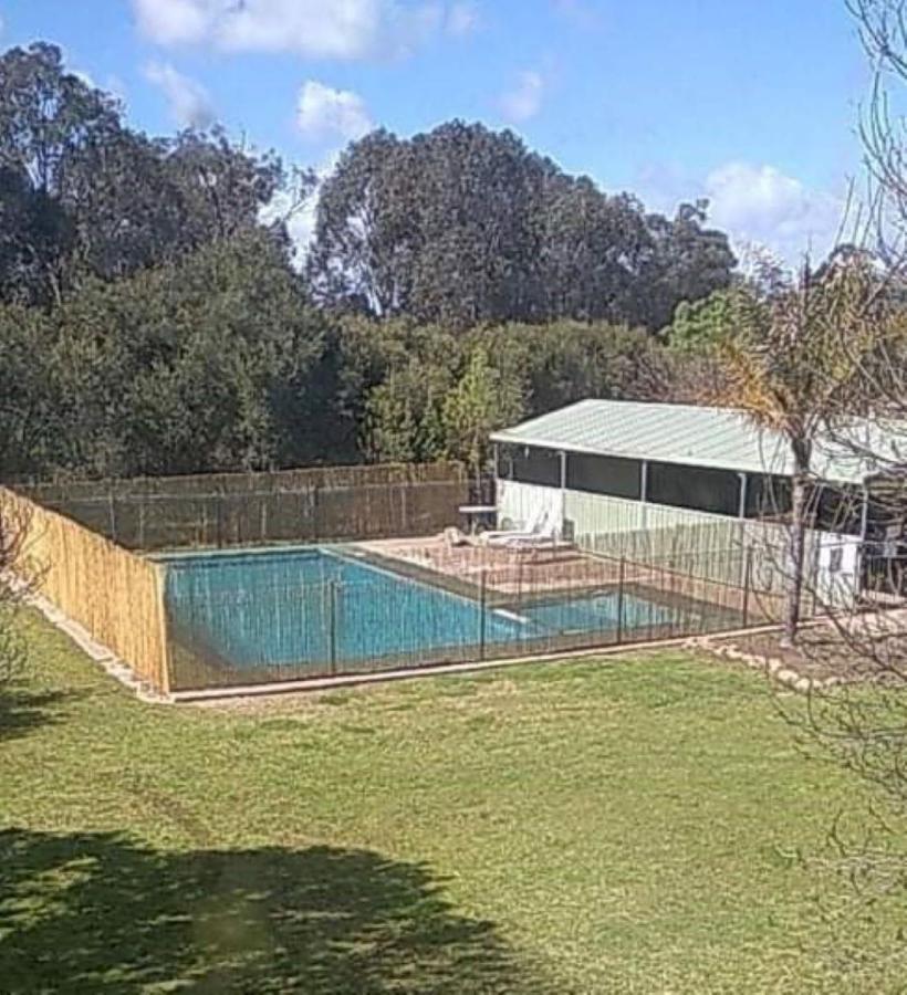 Allonville Gardens Motel Wagga Wagga Exterior photo