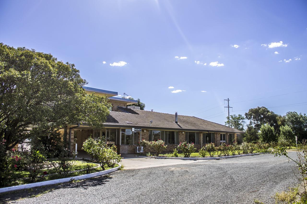 Allonville Gardens Motel Wagga Wagga Exterior photo