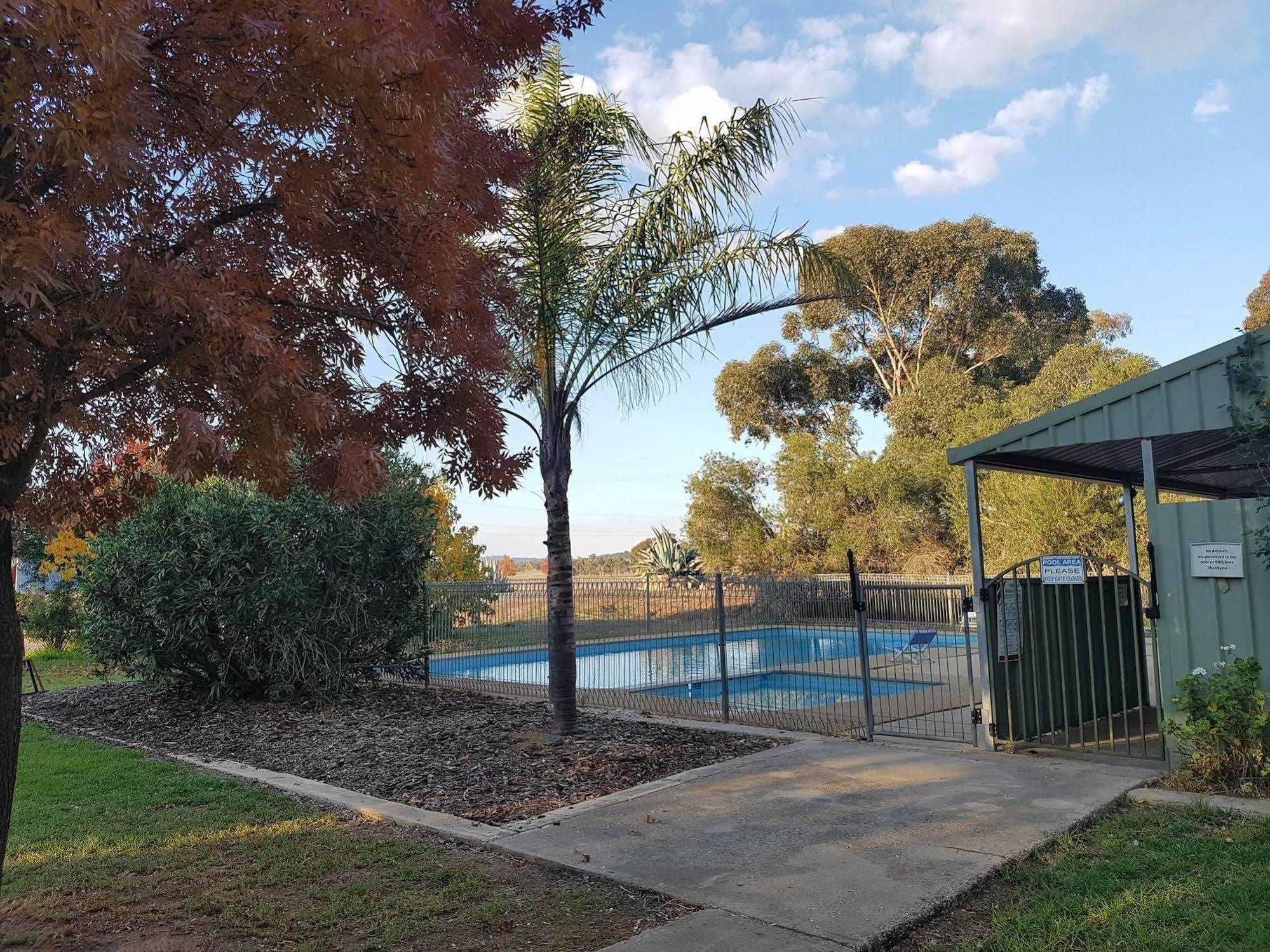 Allonville Gardens Motel Wagga Wagga Exterior photo